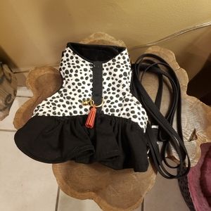 Top paw harness & leash